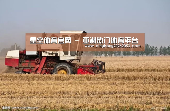 产品名称七