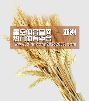 星空体育官网 - 亚洲热门体育平台