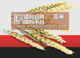 星空体育官网 - 亚洲热门体育平台