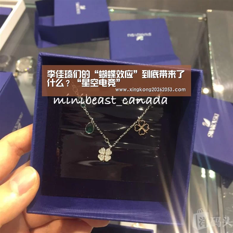 李佳琦们的“蝴蝶效应”到底带来了什么?“星空电竞”(图1) 星空真人