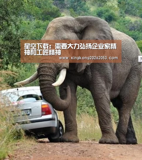 星空下载:需要大力弘扬企业家精神和工匠精神(图1) 星空真人