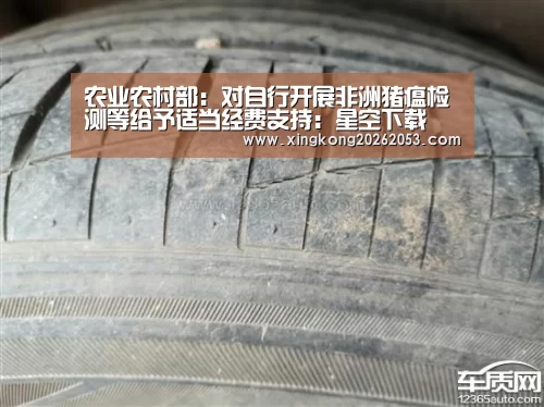 农业农村部:对自行开展非洲猪瘟检测等给予适当经费支持:星空下载(图1) 星空电竞