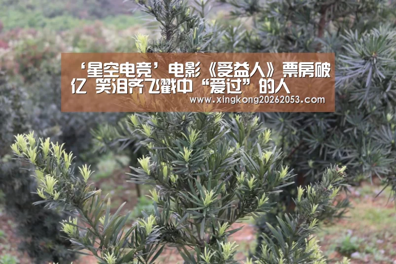 ‘星空电竞’电影《受益人》票房破亿 笑泪齐飞戳中“爱过”的人(图2) 星空下载