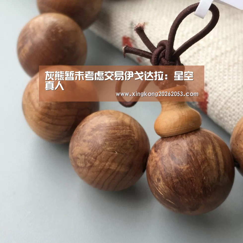 灰熊暂未考虑交易伊戈达拉:星空真人(图3) 星空电竞