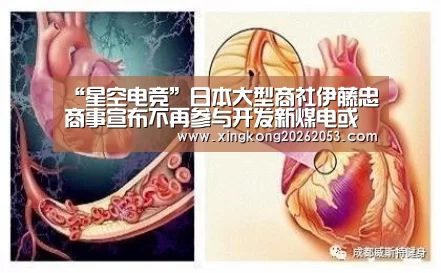 “星空电竞”日本大型商社伊藤忠商事宣布不再参与开发新煤电或煤矿项目(图3) 星空真人